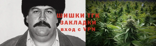 бошки Дмитриев