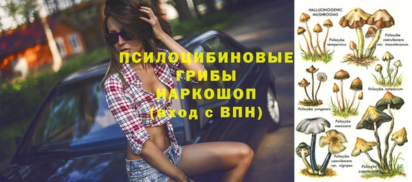 сатива Дмитров