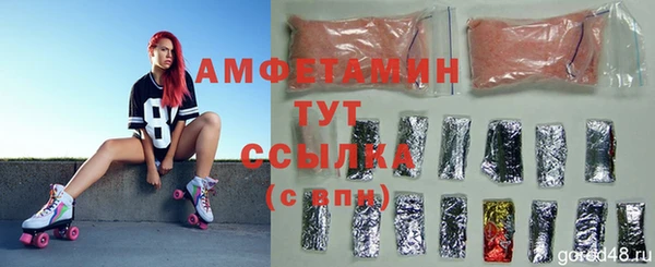 твердый Осинники