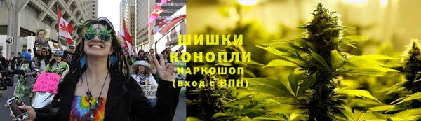 сатива Дмитров
