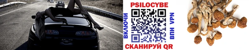 как найти   Севск  Галлюциногенные грибы Psilocybe 